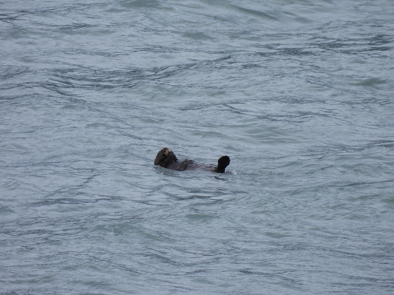 DSCN5732.JPG