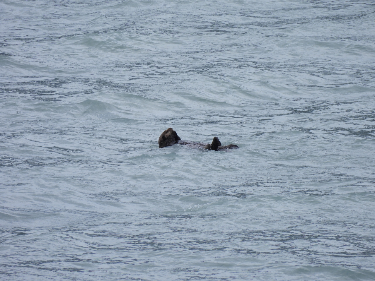 DSCN5737.JPG