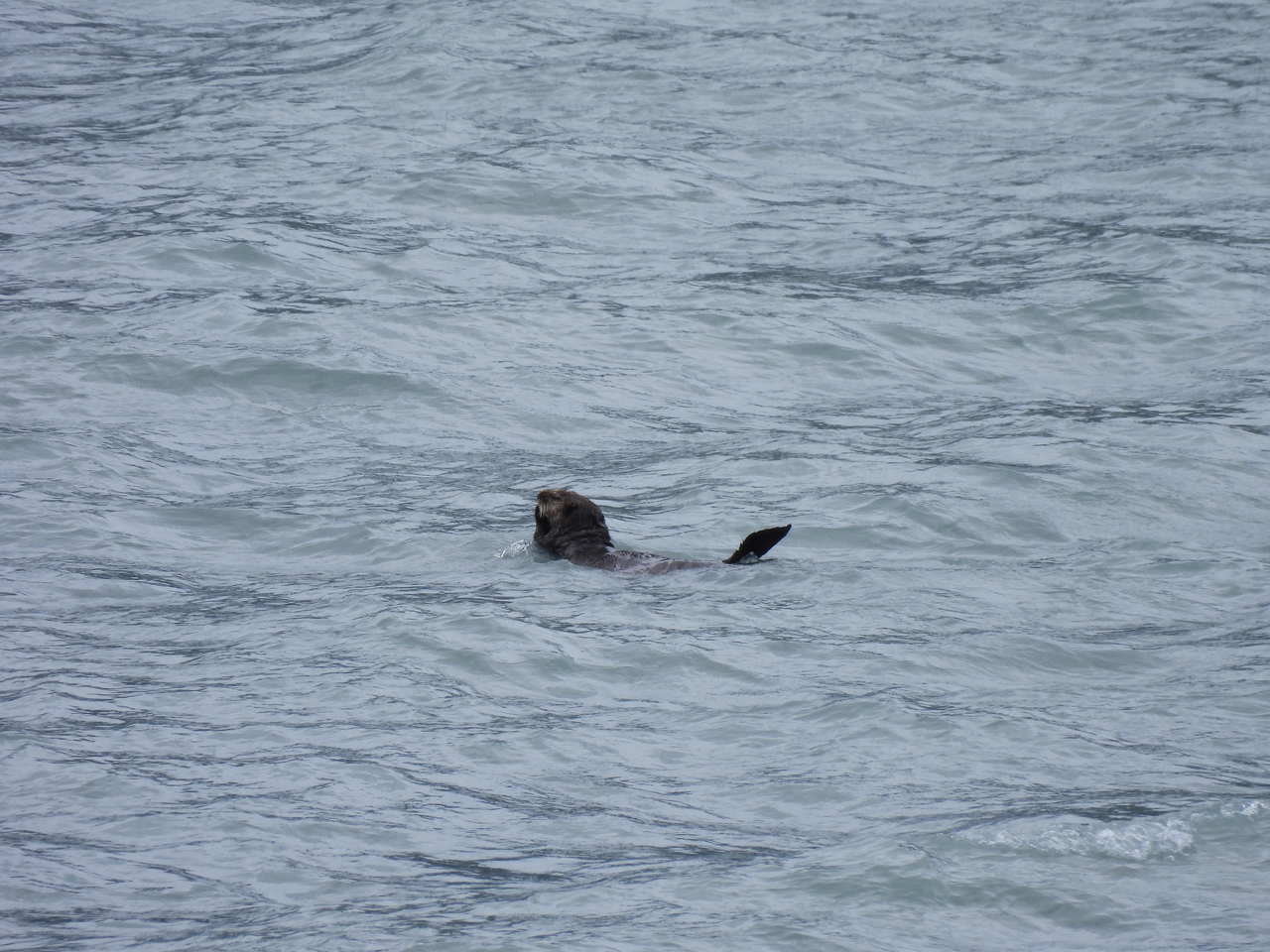 DSCN5738.JPG