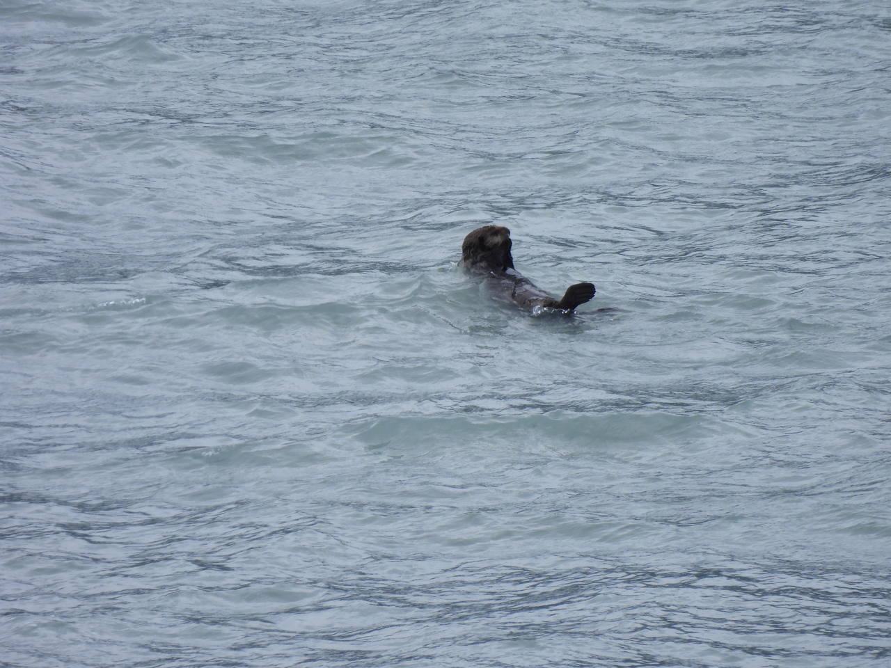 DSCN5740.JPG