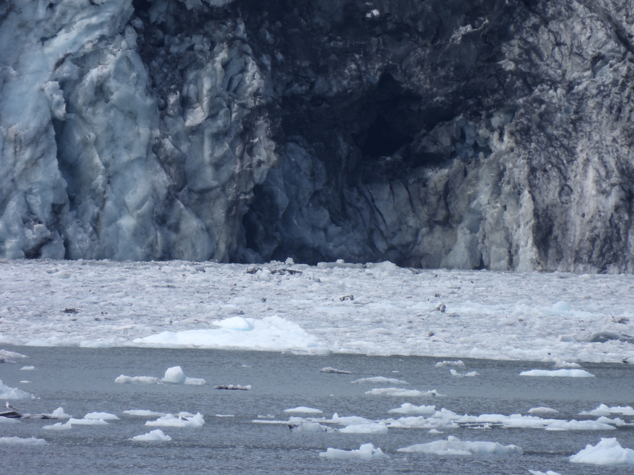 DSCN5831.JPG