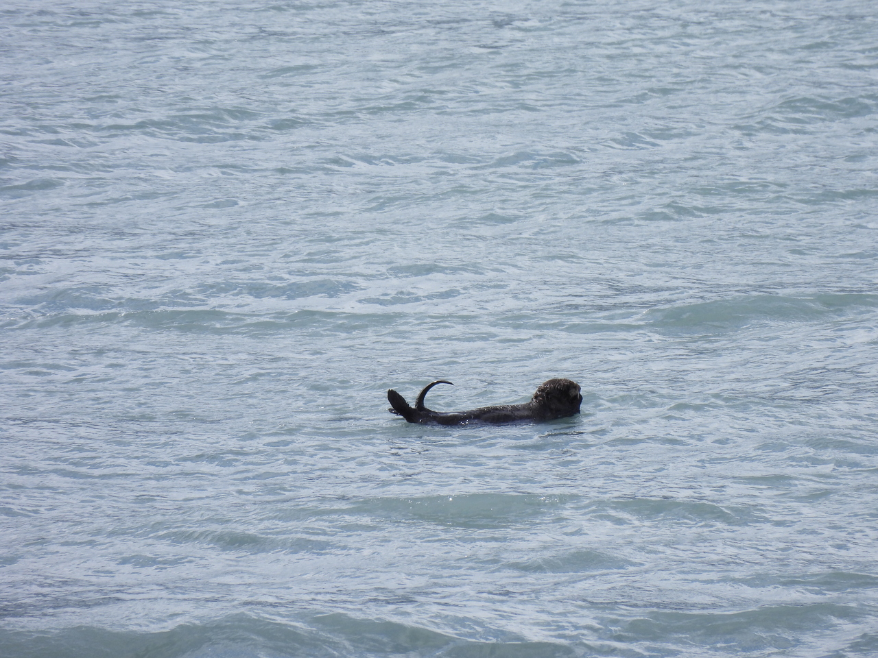 DSCN5837.JPG