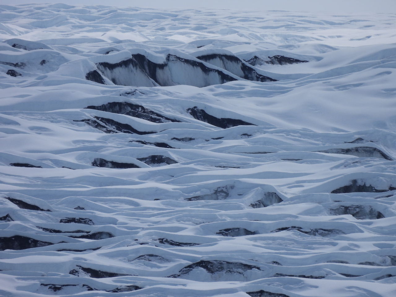 DSCN5962.JPG