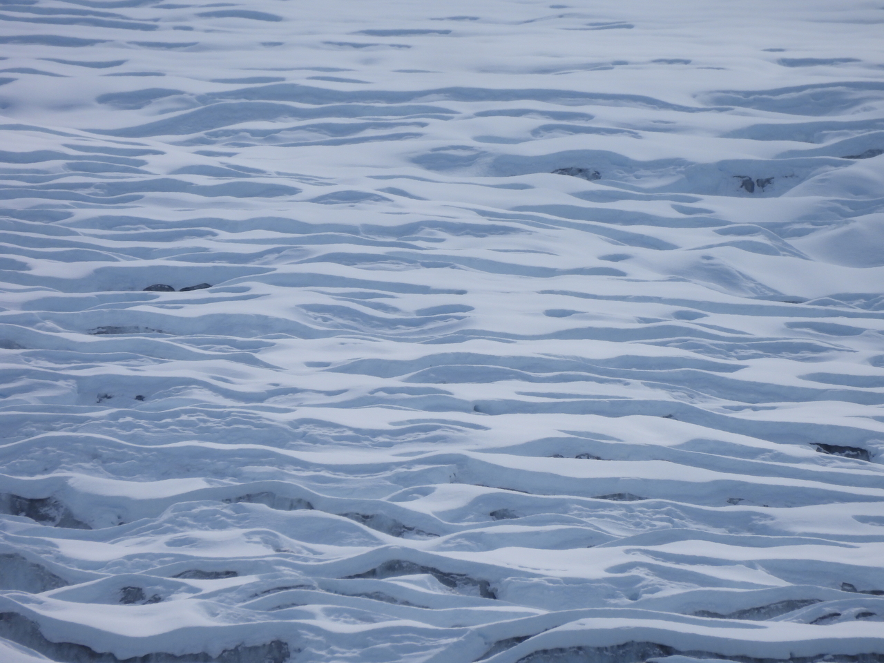 DSCN5963.JPG