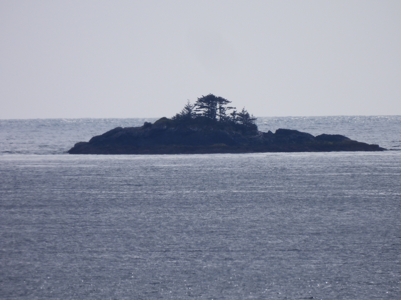 DSCN6003.JPG