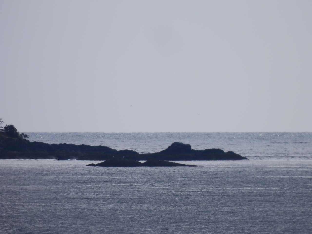 DSCN6004.JPG