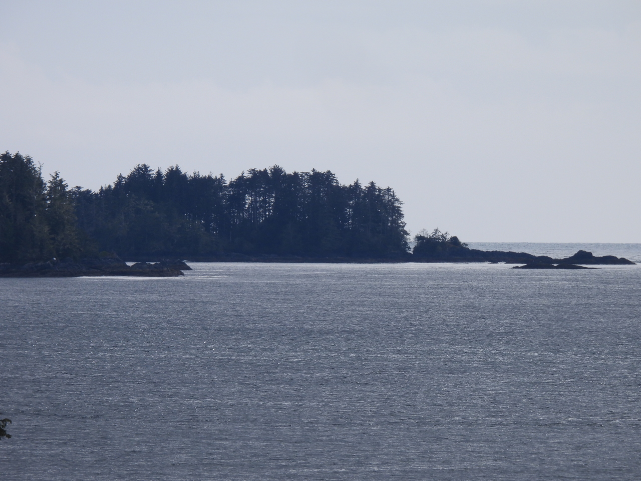 DSCN6006.JPG