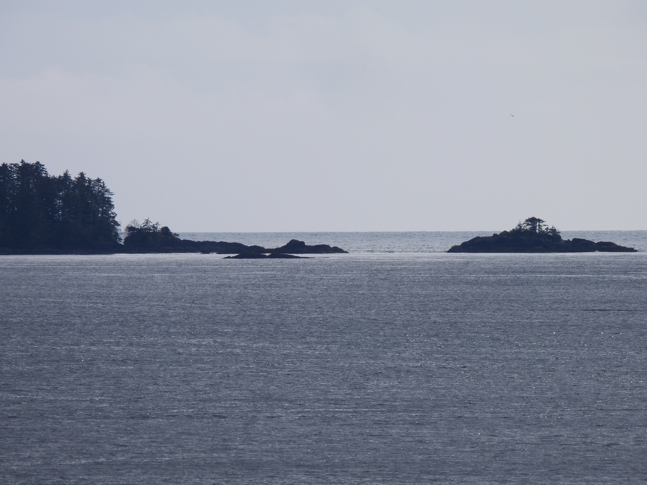 DSCN6007.JPG