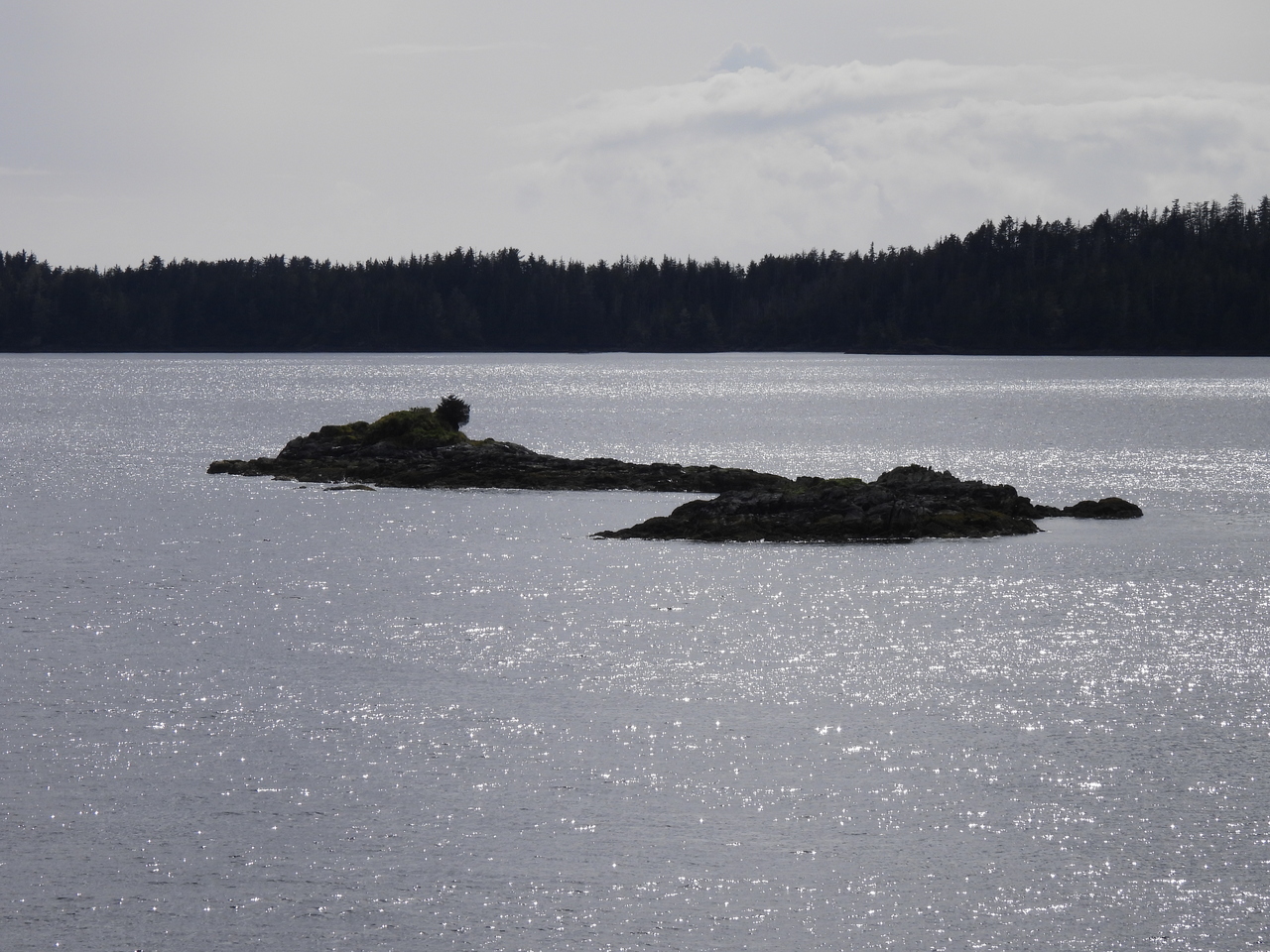 DSCN6008.JPG