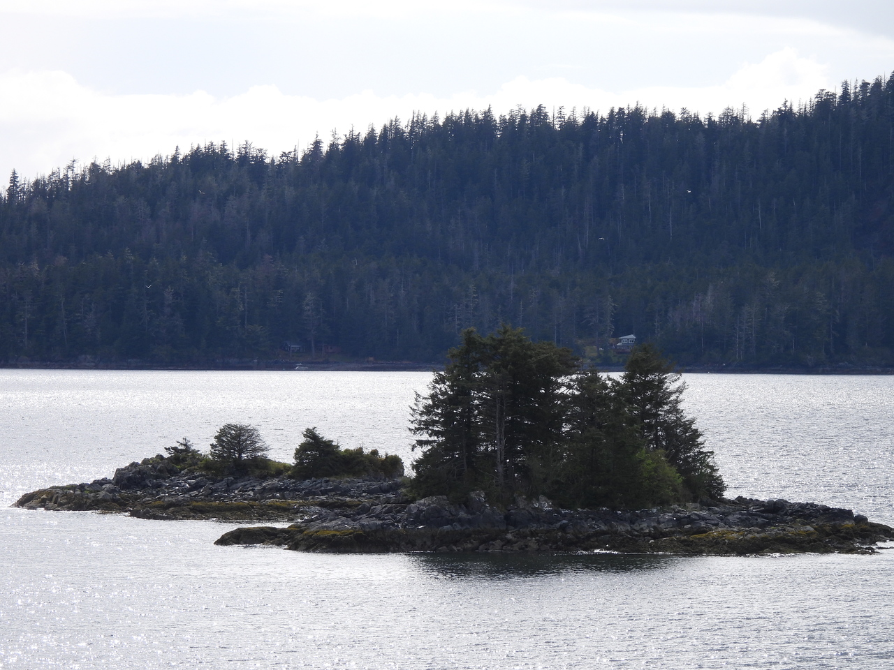 DSCN6009.JPG