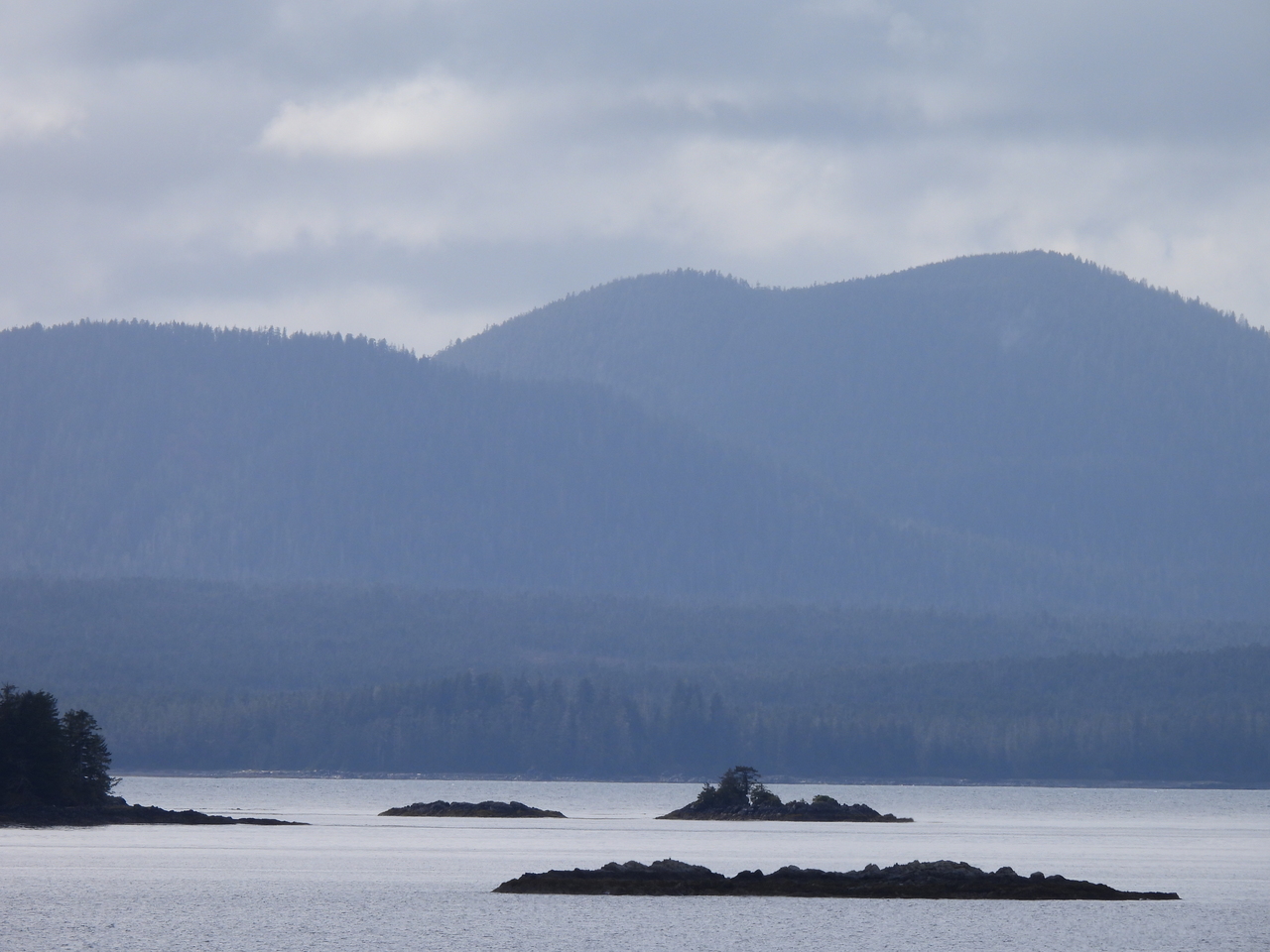 DSCN6013.JPG