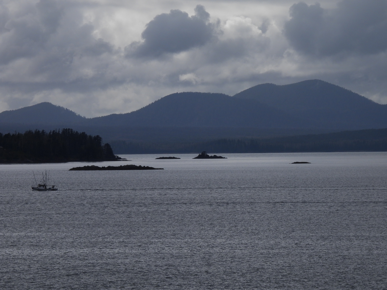 DSCN6021.JPG