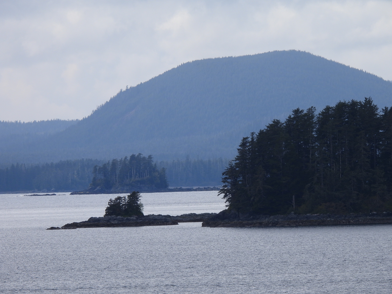 DSCN6022.JPG