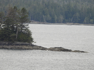 Filename=DSCN5401.JPG
Filesize=6627KiB
Dimensions=4608x3456
Date added=May 12, 2025 DSCN5401.JPG