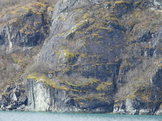 Filename=DSCN5585.JPG
Filesize=7147KiB
Dimensions=4608x3456
Date added=May 12, 2025 DSCN5585.JPG