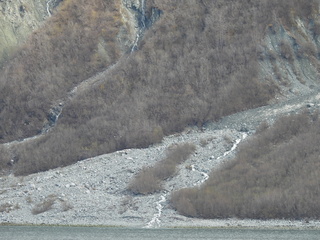 Filename=DSCN5898.JPG
Filesize=6592KiB
Dimensions=4608x3456
Date added=May 12, 2025 DSCN5898.JPG