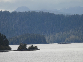 DSCN6023.JPG