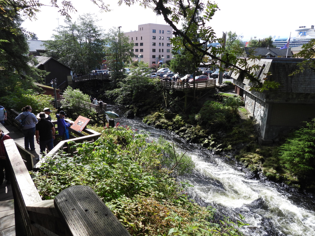 DSCN6099.JPG