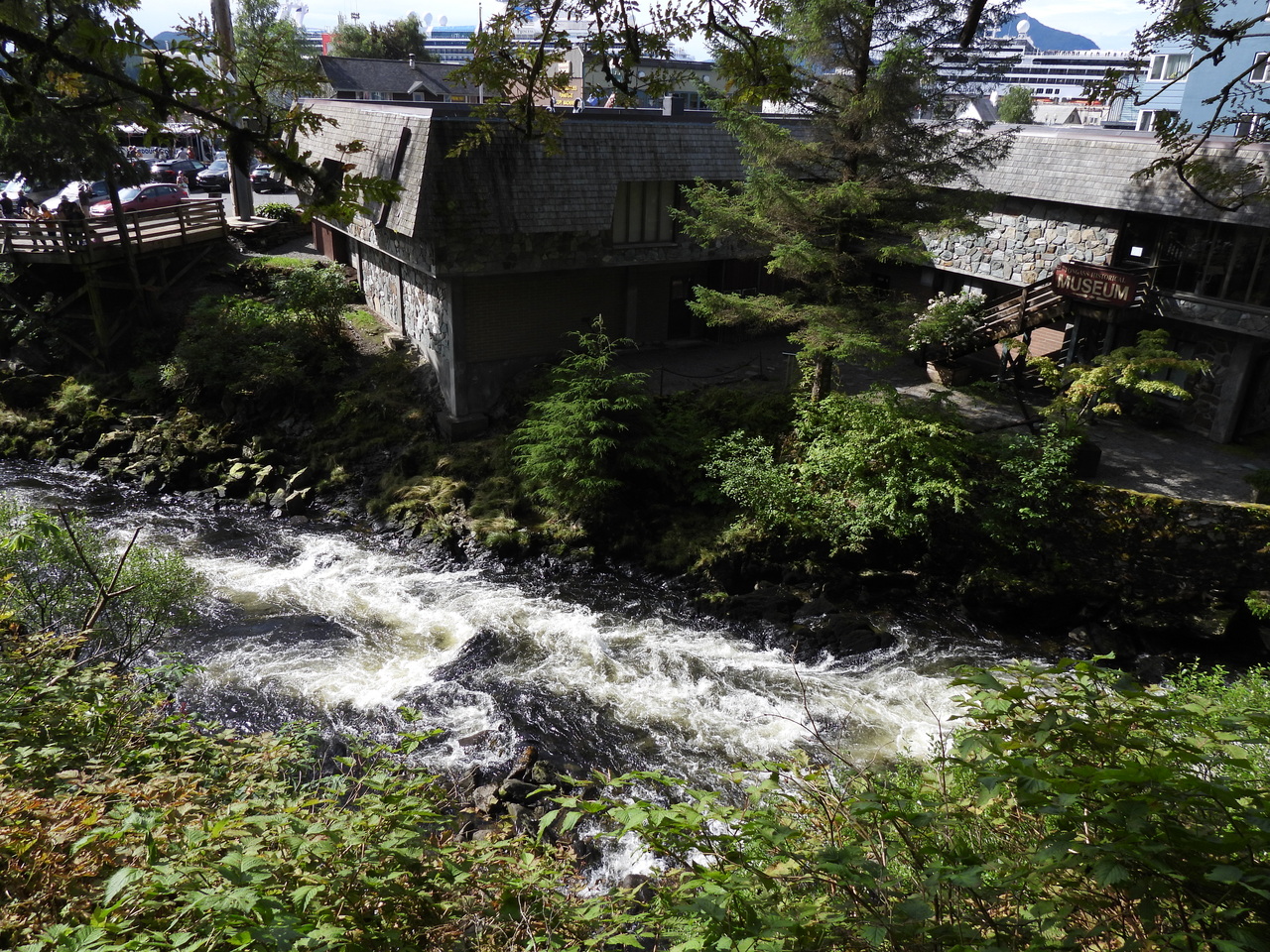 DSCN6100.JPG