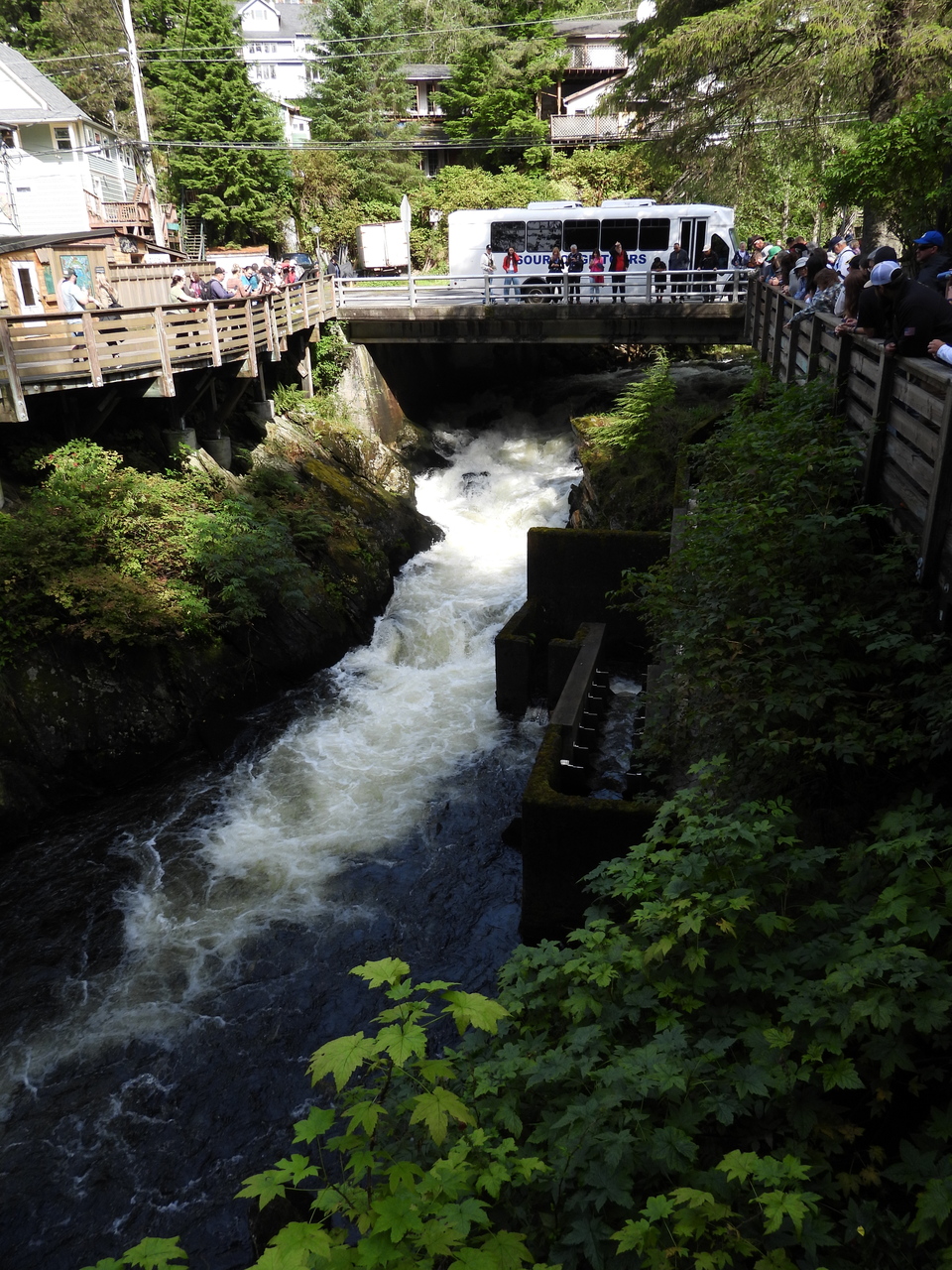 DSCN6103.JPG
