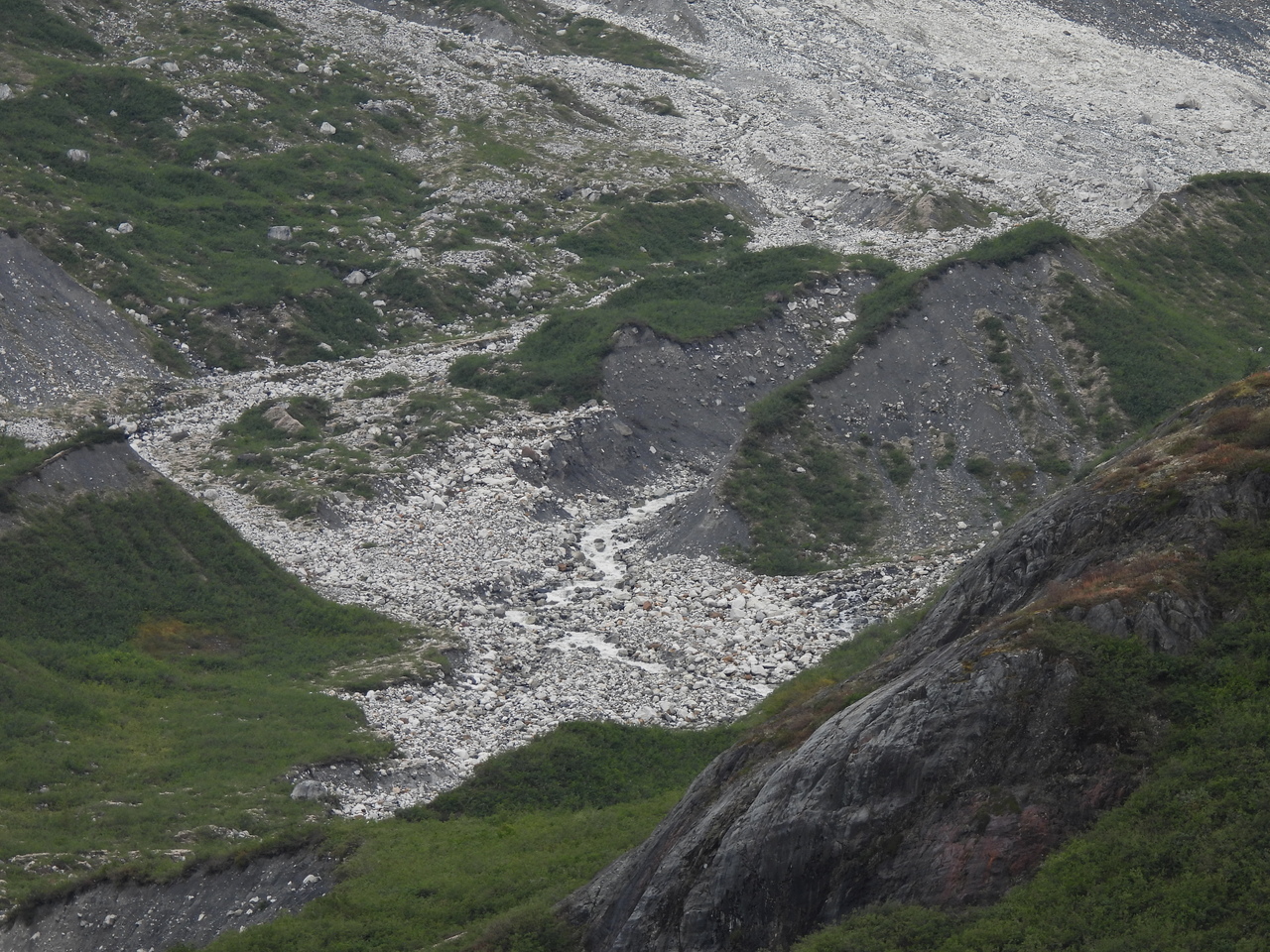 DSCN6148.JPG