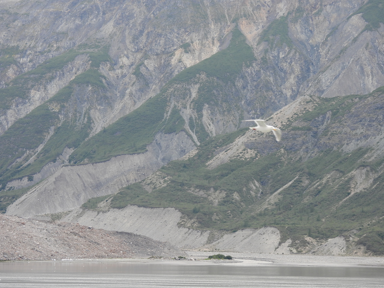 DSCN6265.JPG