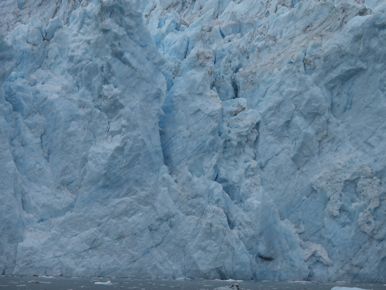 DSCN6307.JPG