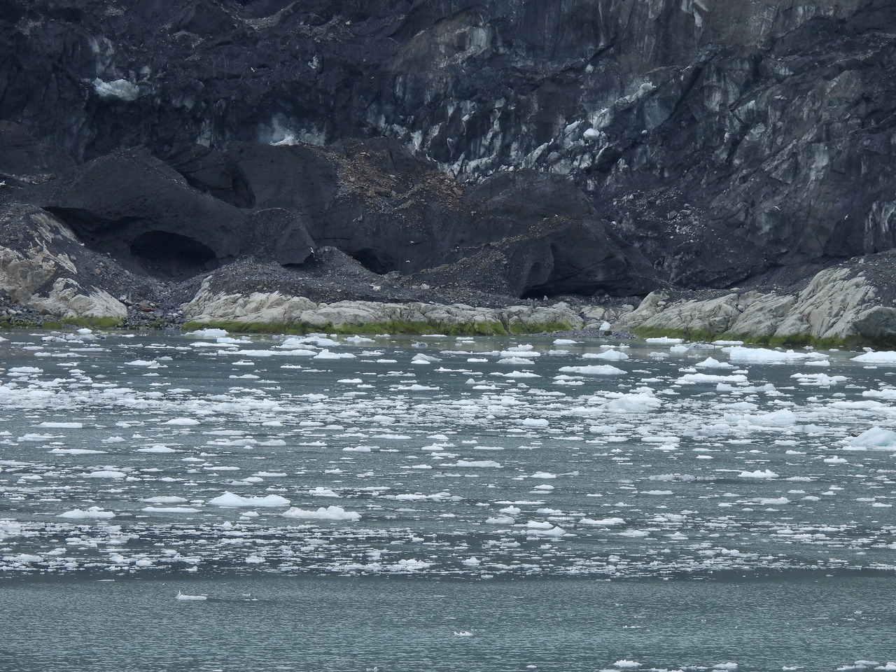 DSCN6323.JPG