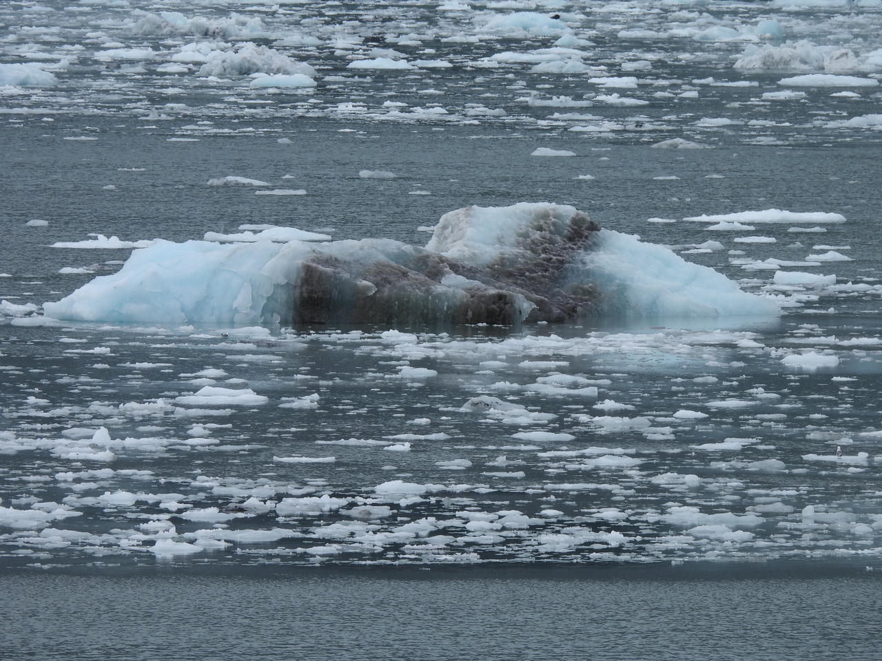 DSCN6326.JPG