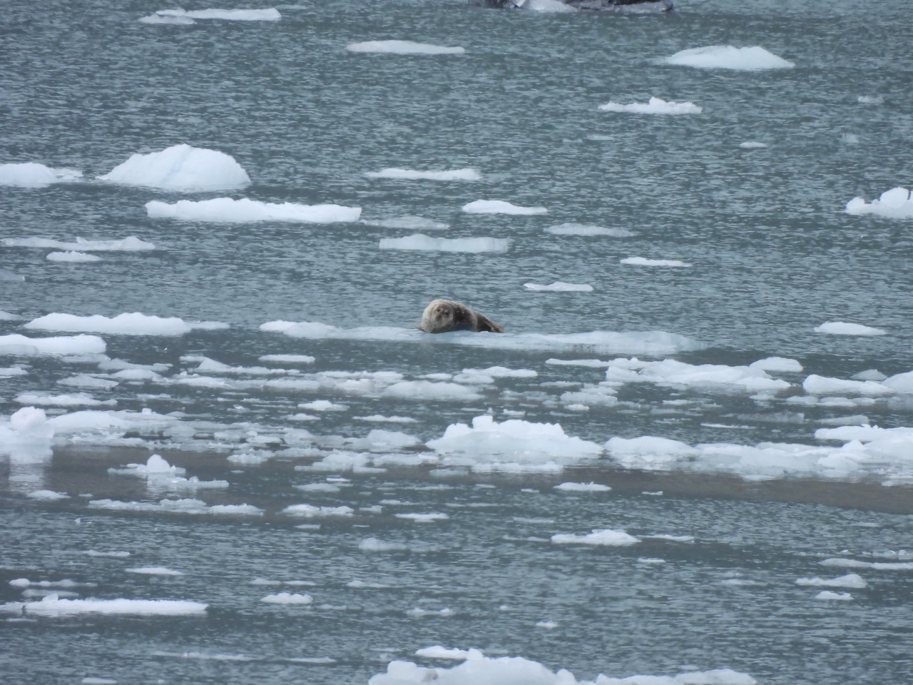 DSCN6357.JPG