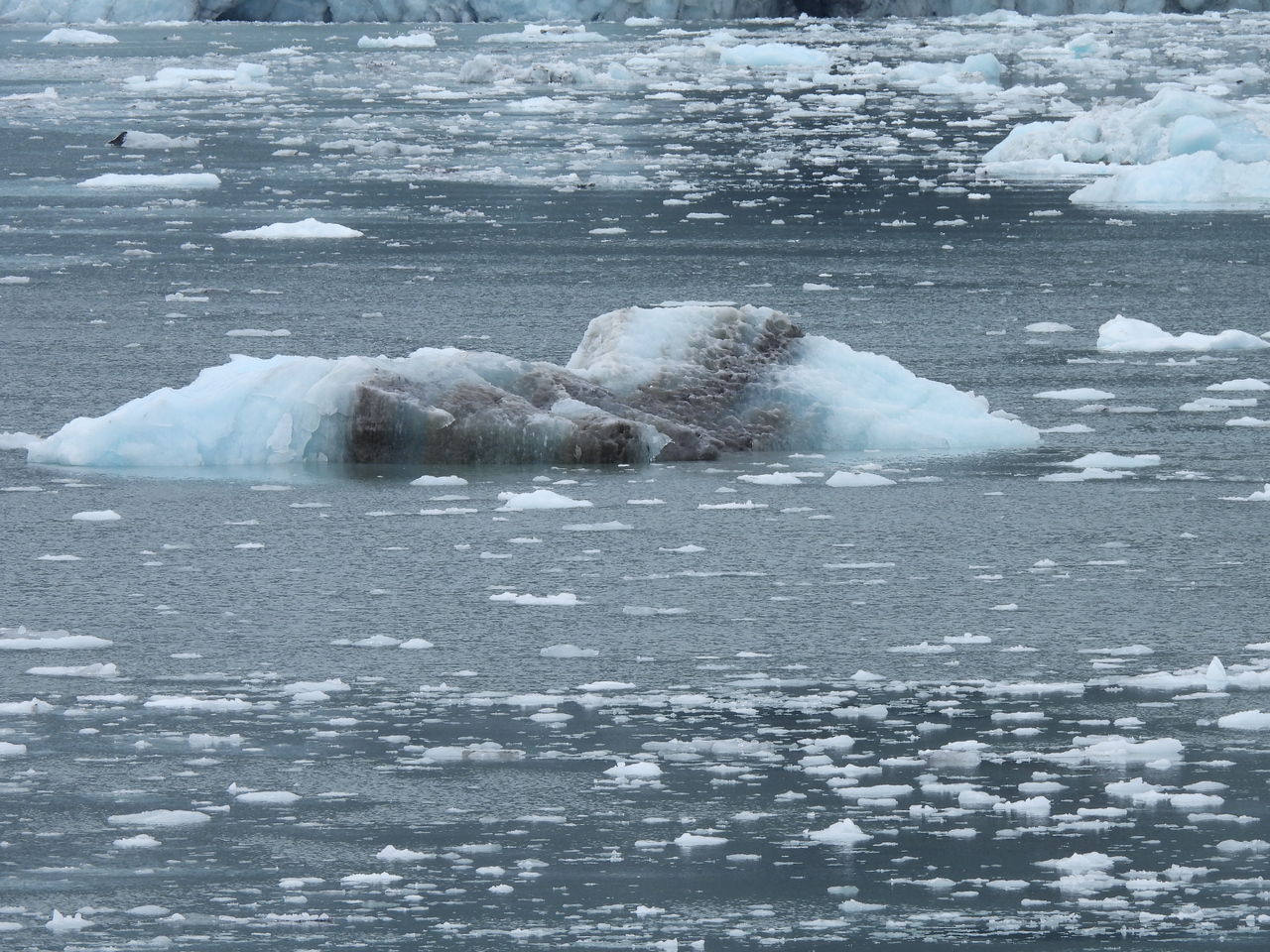 DSCN6369.JPG