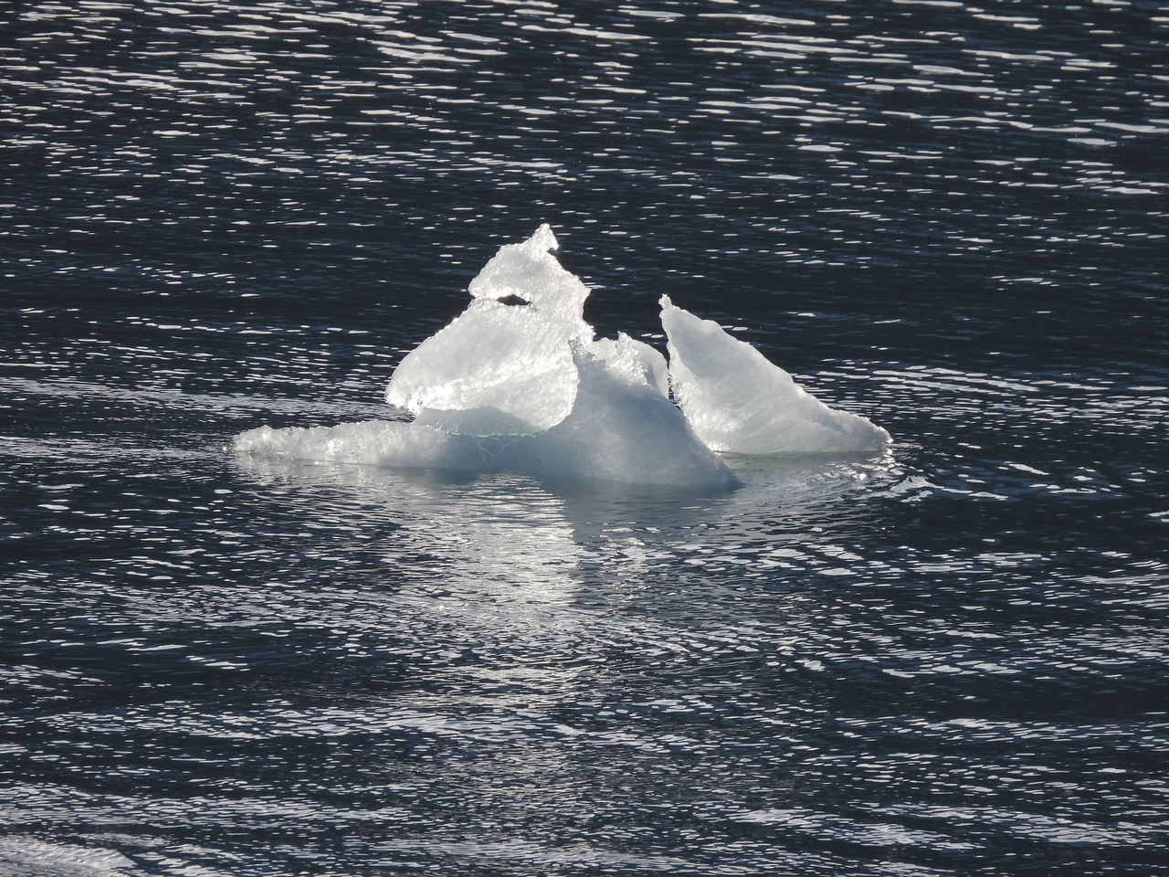 DSCN6412.JPG