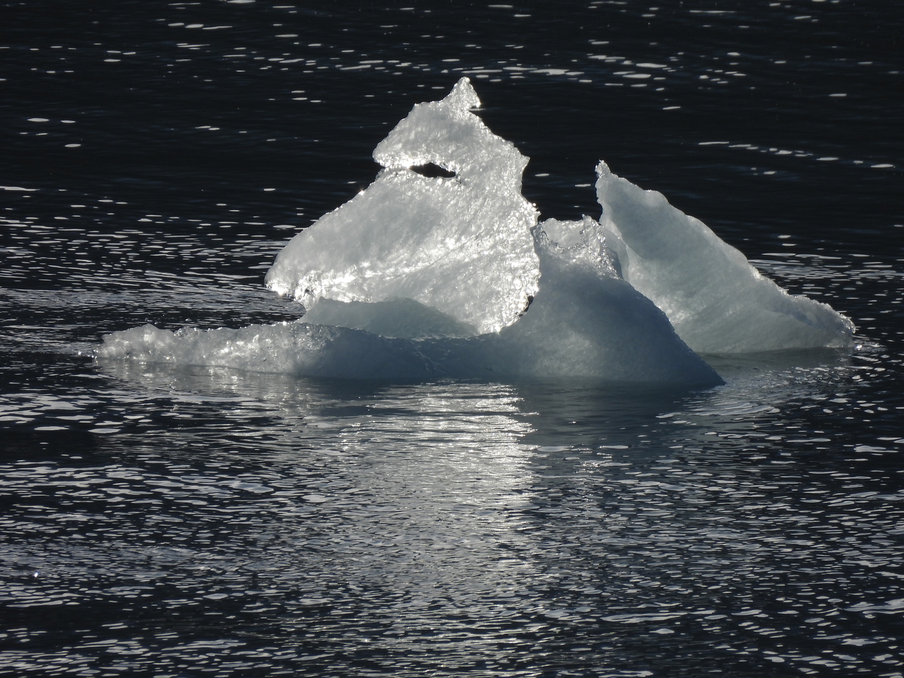 DSCN6414.JPG