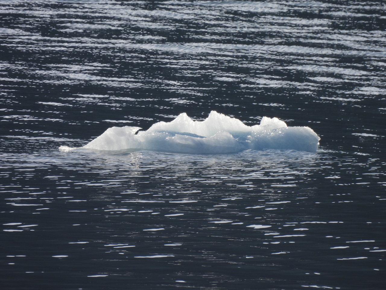 DSCN6415.JPG