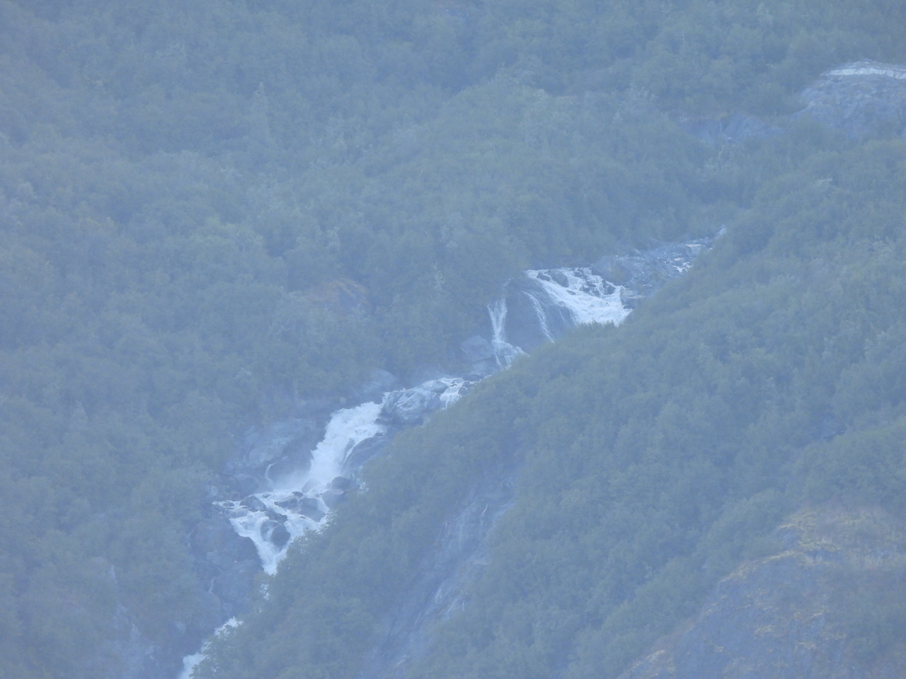 DSCN6423.JPG