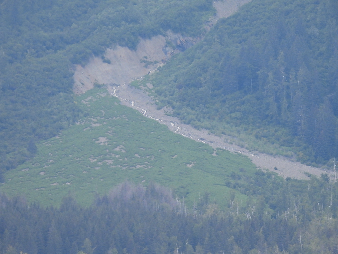 DSCN6486.JPG