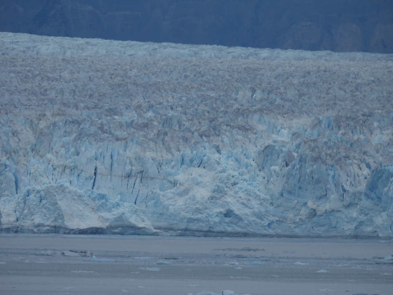 DSCN6511.JPG