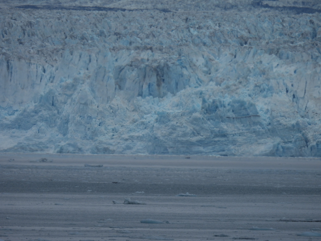 DSCN6526.JPG