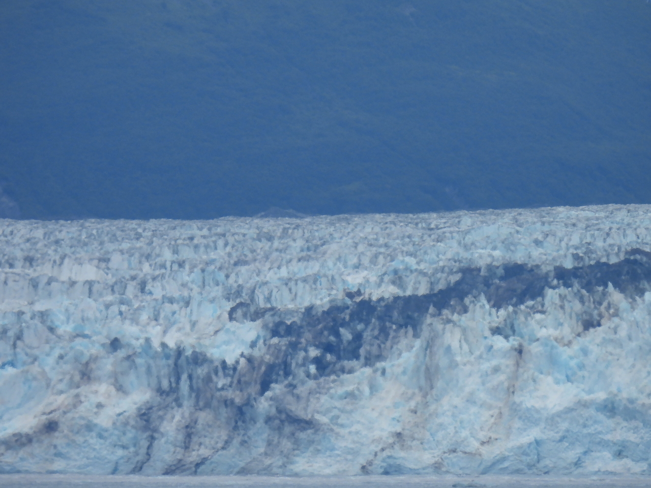 DSCN6530.JPG