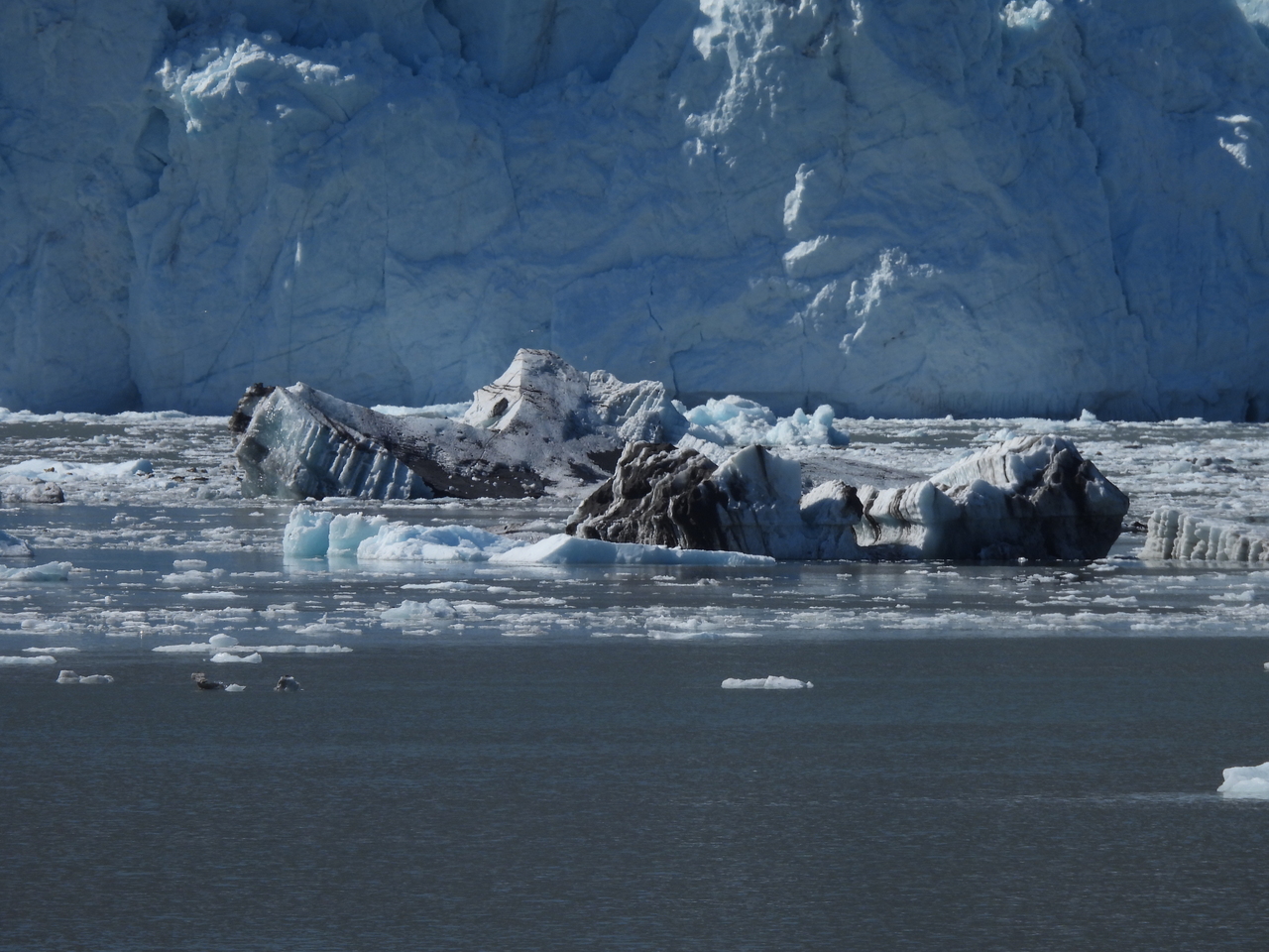 DSCN6630.JPG