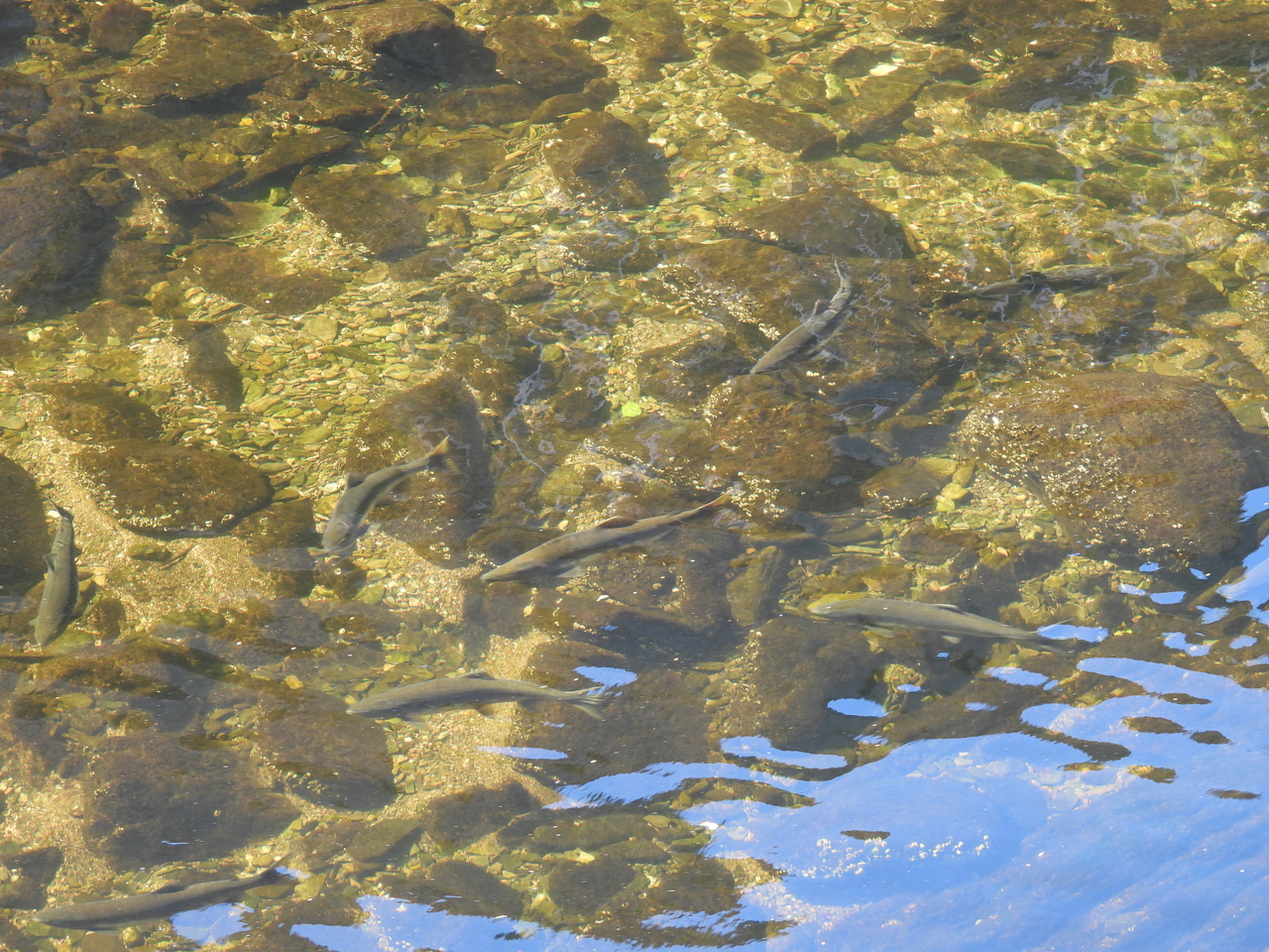 DSCN6848.JPG