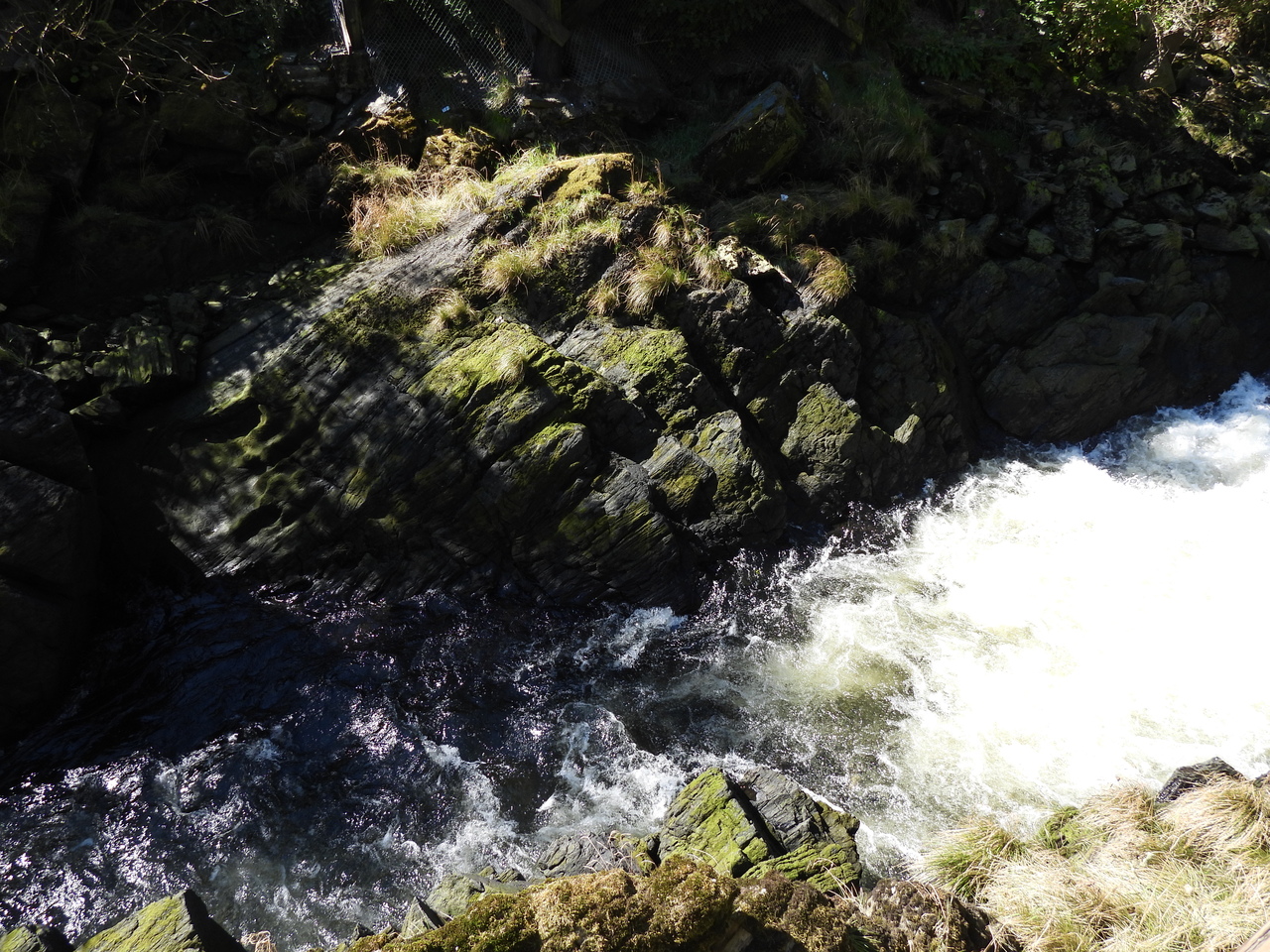 DSCN6852.JPG