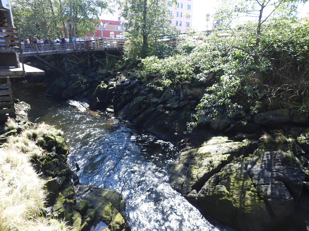 DSCN6853.JPG