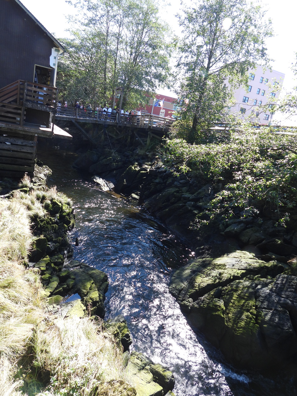 DSCN6855.JPG