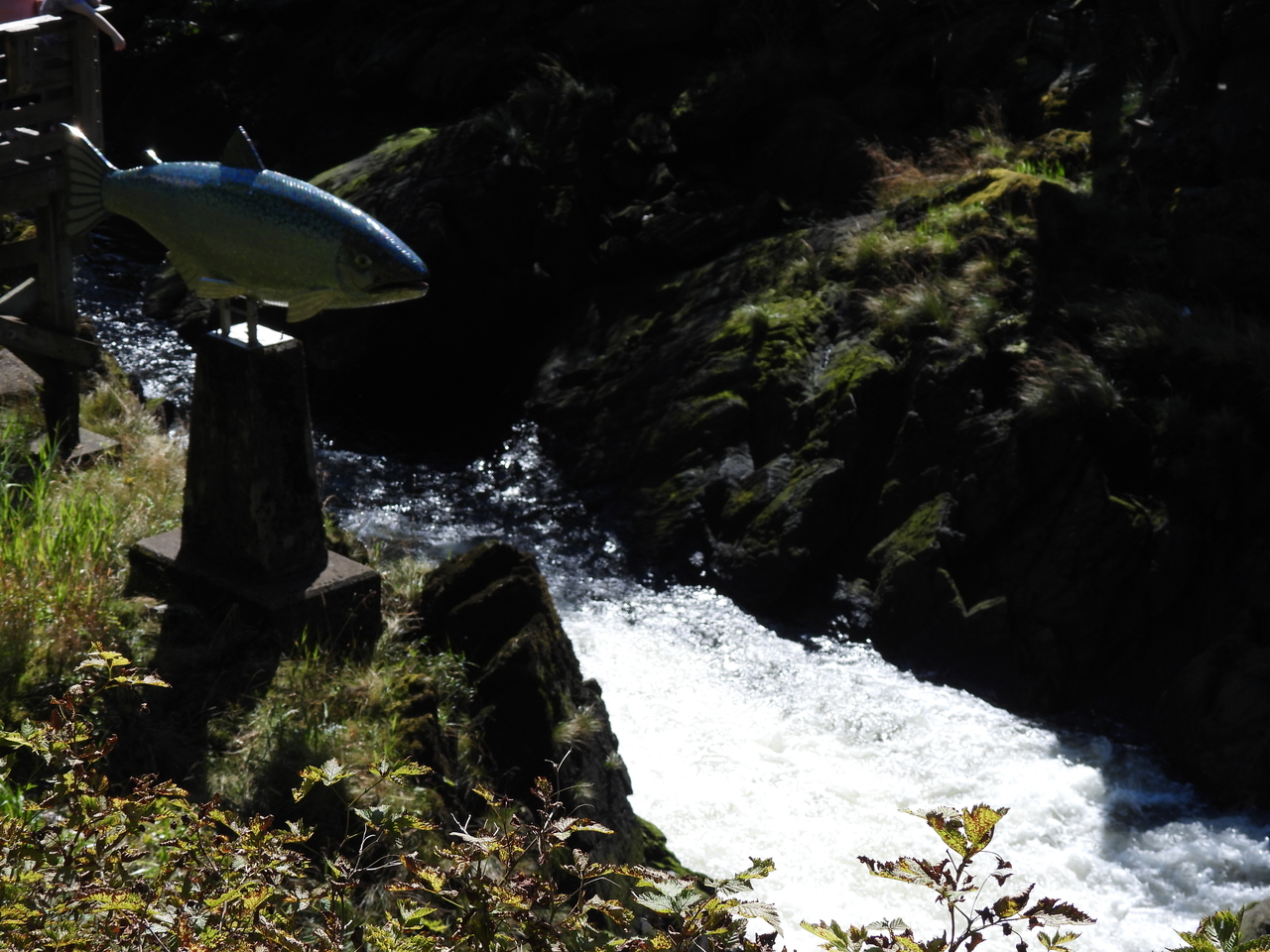 DSCN6858.JPG