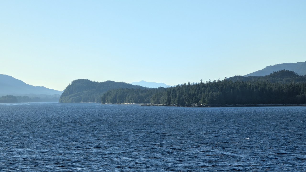 PXL_20250829_021619732.jpg