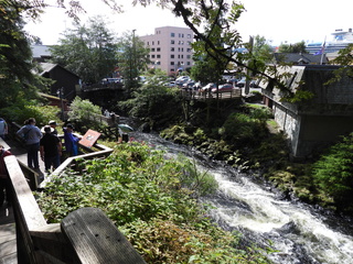 Filename=DSCN6099.JPG
Filesize=7438KiB
Dimensions=4608x3456
Date added=Aug 30, 2025 DSCN6099.JPG