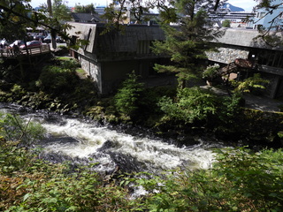 Filename=DSCN6100.JPG
Filesize=6928KiB
Dimensions=4608x3456
Date added=Aug 30, 2025 DSCN6100.JPG