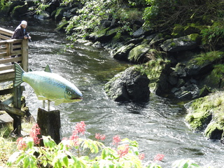Filename=DSCN6102.JPG
Filesize=7313KiB
Dimensions=4608x3456
Date added=Aug 30, 2025 DSCN6102.JPG