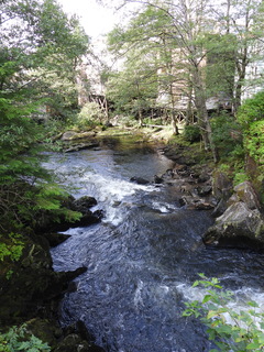 Filename=DSCN6106.JPG
Filesize=6462KiB
Dimensions=3456x4608
Date added=Aug 30, 2025 DSCN6106.JPG